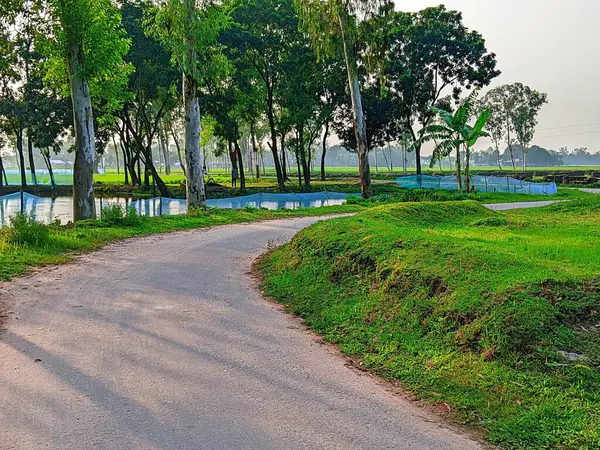 Bereketli Yeşillik 'li Buetisyen Yol