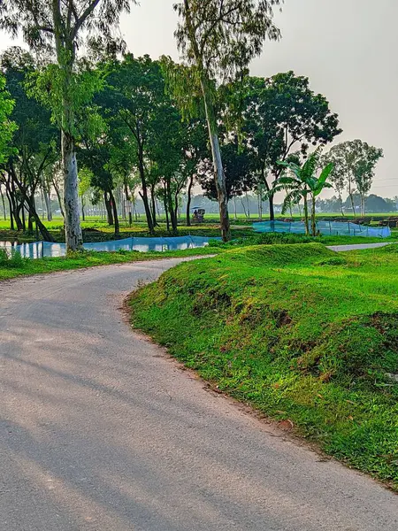 Bereketli Yeşillik 'li Buetisyen Yol