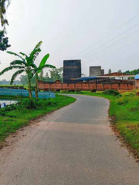 Bereketli Yeşillik 'li Buetisyen Yol