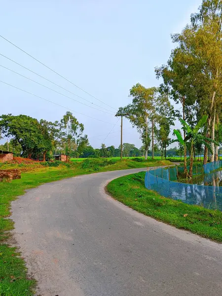 Bereketli Yeşillik 'li Buetisyen Yol