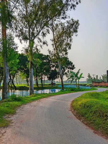 Bereketli Yeşillik 'li Buetisyen Yol