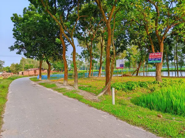 Bereketli Yeşillik 'li Buetisyen Yol