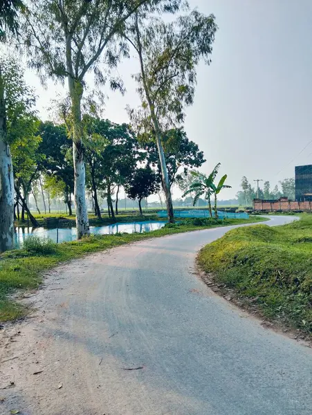 Bereketli Yeşillik 'li Buetisyen Yol