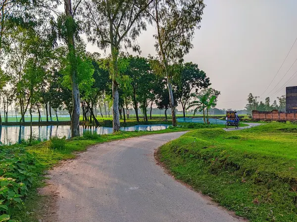 Bereketli Yeşillik 'li Buetisyen Yol