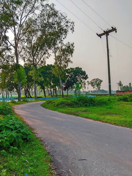 Bereketli Yeşillik 'li Buetisyen Yol