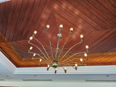 Tavan manzarası iç dekorun odak noktası olarak şık bir asılı lamba sergiliyor.