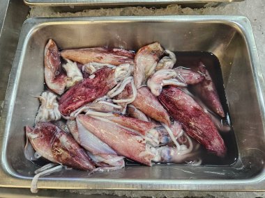 Deniz ürünleri pazarındaki paslanmaz çelik tepside satılmaya hazır taze mürekkep balıkları.