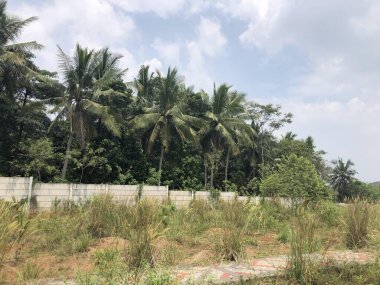 Etrafı tropik yeşilliklerle çevrili açık bir alanı çevreleyen uzun beton çitler.