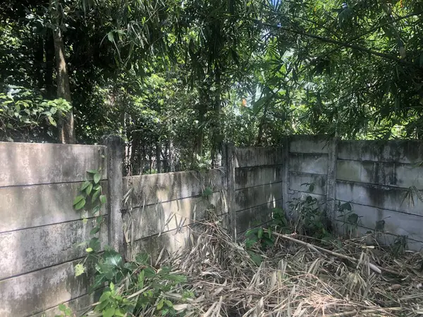Beyaz beton duvar, verimli ağaçlarla dolu kırsal bir alanda bir kara sınırını işaret ediyor.