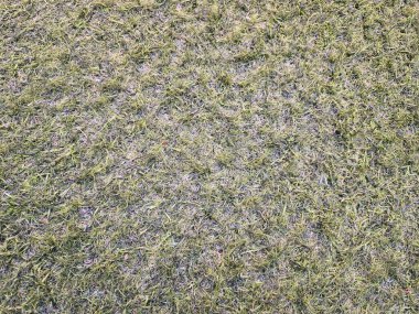 Yıpranma ve renk değişimine dair ipuçları içeren yapay çim yüzeyi.