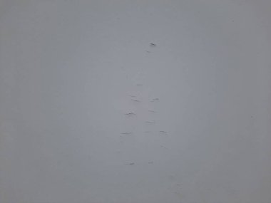 Çeşitli efektlere sahip desenli duvar arkaplanı, tasarım için mükemmel arka plan, dijital sanat, mimari, iç tasarım veya yaratıcı proje