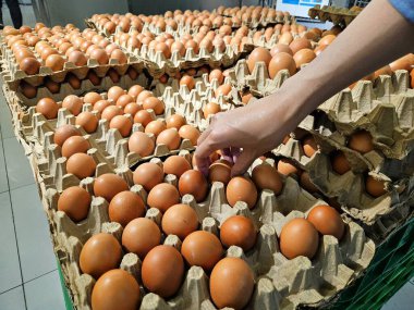 Geleneksel bir pazarda yiyecek, tarım veya alışveriş temaları için uygun kahverengi yumurtaları bir kartondan seçen bir elin yakın çekimi