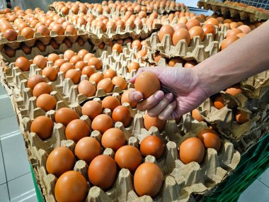 Geleneksel bir pazarda yiyecek, tarım veya alışveriş temaları için uygun kahverengi yumurtaları bir kartondan seçen bir elin yakın çekimi