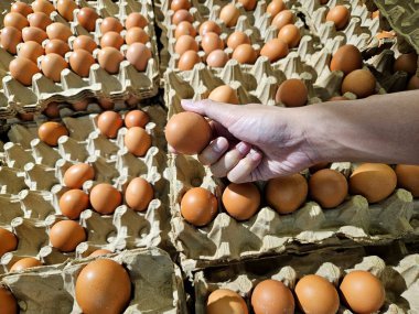 Geleneksel bir pazarda yiyecek, tarım veya alışveriş temaları için uygun kahverengi yumurtaları bir kartondan seçen bir elin yakın çekimi