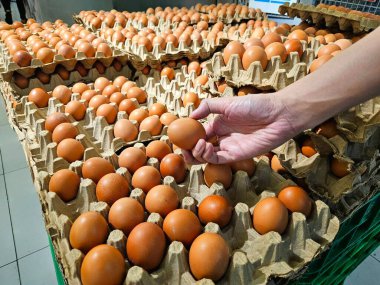 Geleneksel bir pazarda yiyecek, tarım veya alışveriş temaları için uygun kahverengi yumurtaları bir kartondan seçen bir elin yakın çekimi