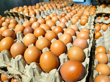 Yerel bir markette kartonlarda taze kahverengi tavuk yumurtası yığını, tarım, gıda tedariği veya geleneksel alışveriş temaları için ideal