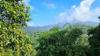 Canlı dağ ormanları sabah ışığında yeşillik katmanları ve dağınık ağaçlarla. Doğa, ekoloji ve seyahat kavramları için ideal.