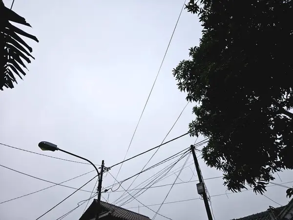 Siluetli ağaçlar ve karışık elektrik hatlarıyla kaplanmış gökyüzü. Şehir manzarası, elektrik, kentsel gerilim veya altyapı temaları için elverişli