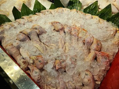 Tavuk kafası taze gıda pazarında ezilmiş buzun üzerine yerleştirilmiş. Mutfak içeriği, yemek hazırlama görselleri veya pazar fotoğrafçılığı için elverişli