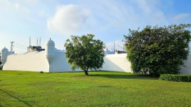 Eski kalenin önünde ağaçlar olan geniş çimenlik alan, eko-şehir, açık park veya sürdürülebilir kentsel gelişim görselleri için ideal