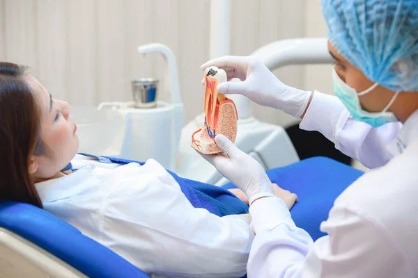 Zahnarzt Zeigt Zähne Modell Und Diskutiert Mit Patienten Über Menschliche — Stockfoto