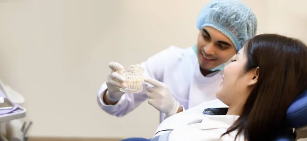 Zahnarzt Zeigt Zähne Modell Und Diskutiert Mit Patienten Über Menschliche — Stockfoto
