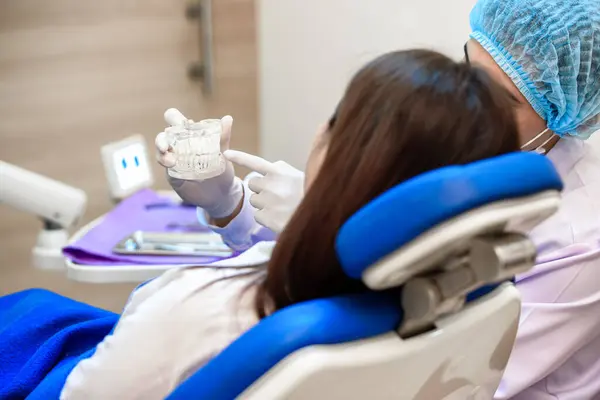 Tandläkare Visar Tänder Modell Och Diskutera Med Patienten Mänskliga Tänder — Stockfoto