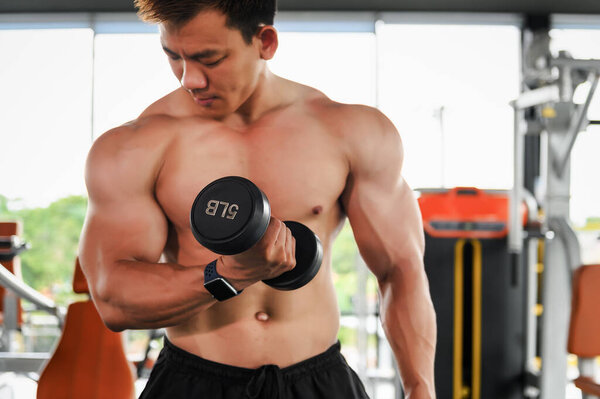 Close-up bodybuilder, Muscular bodybuilder man weight lifting or pull up with a dumbbell in gymnasium, Fitness execute exercising building muscle or bodybuilding concept.