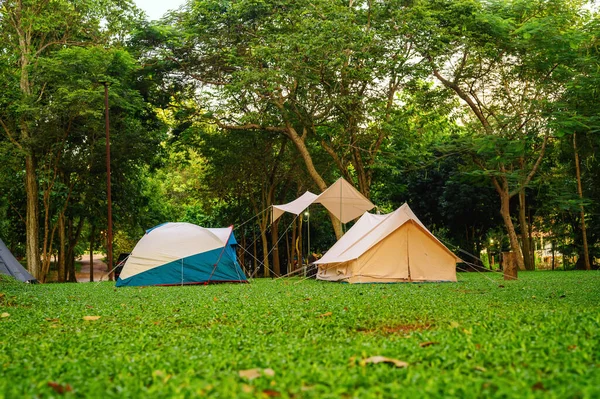 Group of camping tents diverse types of tourism in the natural green yard and tree around is shady feels. Summer camping, Tourism with nature, Healthy freedom lifestyle and mental recreation.