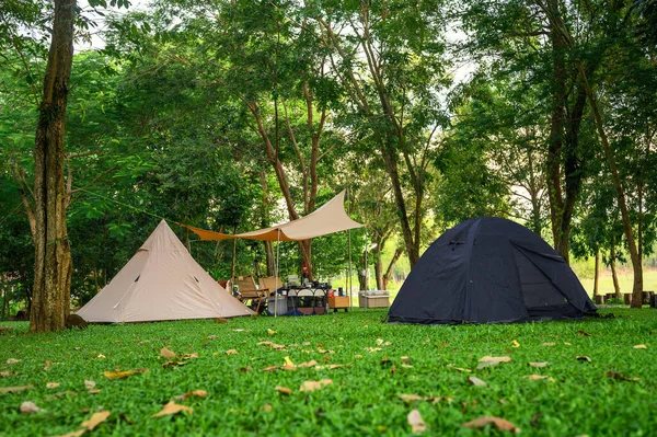 Group of camping tents diverse types of tourism in the natural green yard and tree around is shady feels. Summer camping, Tourism with nature, Healthy freedom lifestyle and mental recreation.