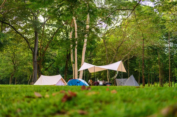 Group of camping tents diverse types of tourism in the natural green yard and tree around is shady feels. Summer camping, Tourism with nature, Freedom lifestyle, and mental recreation. Ant eye view