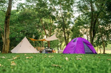 Yeşil doğa bahçesinin ortasında bir kamp çadırı kurmak. Kamp çadırına odaklan.