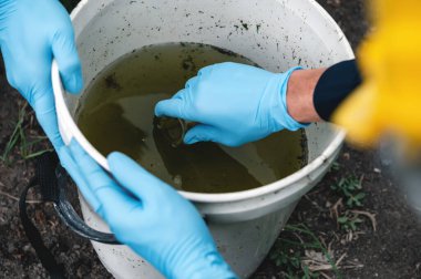 Çevre Mühendisleri Çürük Kokulu Havuz Su Kaynakları 'nda Su Örnekleri Şişelere Alıyor, Zehirli Atık veya Şüpheli Kirlilik Alanlarıyla Kirletilebilir.