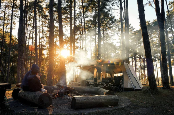 Camping Tenda Turismo Sob Pinheiros Floresta Árvores Paisagem Retroiluminada Pela — Fotografia de Stock