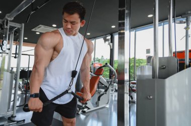 Kaslı bir adam, vücut geliştiren Asyalı bir adam, halat itme egzersizi yapıyor. Triseps kol egzersizleri dengeli üst gövde çekişleri ile spor salonunda kablo makine ağırlık kaldırma, fitness egzersiz konsepti.