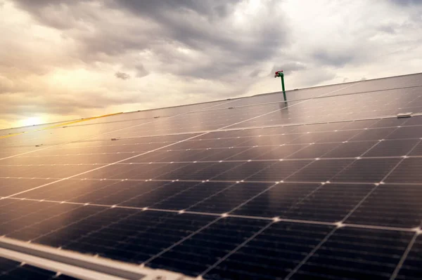 Akşam Vakti Binanın Çatısındaki Güneş Fotovoltaik Panellerini Temizlemek Için Yeşil — Stok fotoğraf