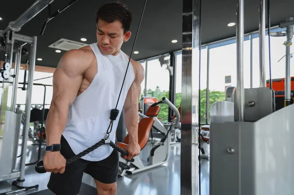 Muscular man, Bodybuilder Asian man workout doing cable rope pushdowns. Tricep arm exercises balanced upper body pull-downs with cable machine weight lifting in gym, Fitness exercising concept.