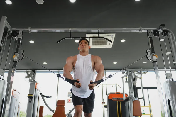 Muscular man, Bodybuilder Asian man workout doing cable rope pushdowns. Tricep arm exercises balanced upper body pull-downs with cable machine weight lifting in gym, Fitness exercising concept.