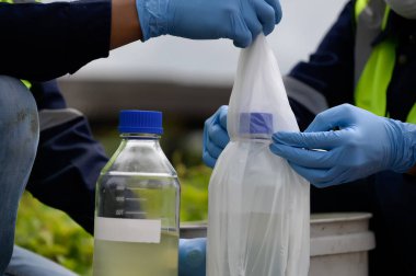 Çevre Mühendisleri Doğal Su Kaynakları 'ndaki kötü kokan su örneklerini şişeye koyup plastik poşetlere koydular. Zehirli Kirlilik Alanlarının Kirlettiği Suyu..