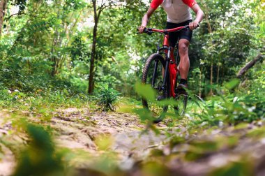 Ekstrem Dağ Bisikleti, Yeşil Orman 'daki MTB patikalarında bisiklet sürmek Dağ Bisikleti, açık hava sporları, eğlence ve sürmenin tadını çıkarmak. Sporcunun temel teknikleri.