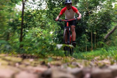 Ekstrem Dağ Bisikleti, Yeşil Orman 'daki MTB patikalarında bisiklet sürmek Dağ Bisikleti, açık hava sporları, eğlence ve sürmenin tadını çıkarmak. Sporcunun temel teknikleri.