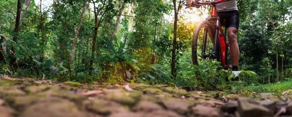 Close-up of Extreme Mountain Biking, Cyclist ride on MTB trails in the Green Forest with Mountain Bike, Outdoor sports activity fun and enjoy riding. Banner Size with Copy Space.