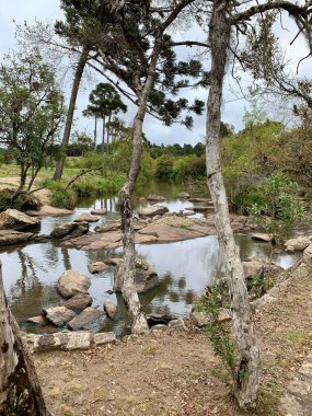 Brezilya 'nın güney bölgesinde kayalar ve doğal bitki örtüsü olan nehir. 