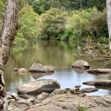 Yerli orman ve kayaların arasında nehir yatağı