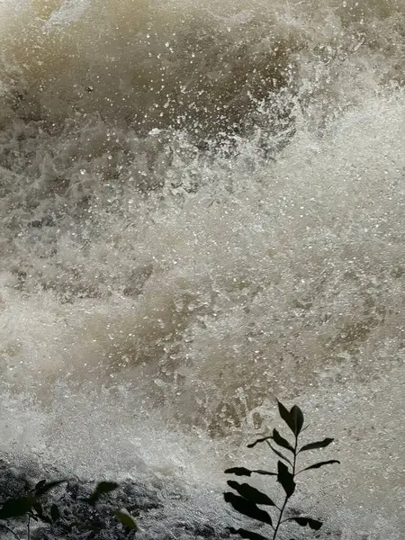 Kayalık yataklar üzerinde köpüklü ve çalkantılı bir su şelalesinin etkileyici bir sahnesi. Doğanın ihtişamı, suyun kuvvetiyle ön plandaki canlı yeşil yapraklar arasındaki zıtlıkla vurgulanır.