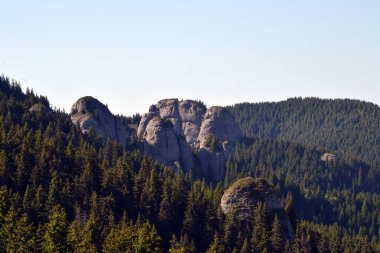 Romanya 'nın Ciuca Dağları' nın bu manzaralı manzarasında yeşil tepeler ve çam ormanlarının üzerinde görkemli dağ zirveleri yükseliyor. Ham doğanın ve el değmemiş vahşi doğanın mükemmel bir görüntüsü..