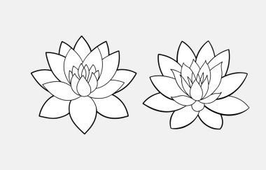 Nilüfer çizgisi sanat vektörü silüeti illüstrasyon, su zambağı dış hat simgesi seti, izole arkaplan
