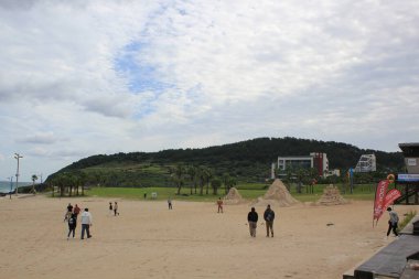 Jeju Kore sahillerinde kum kültürü. Yüksek kalite fotoğraf