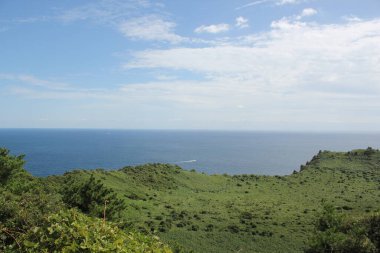 Kore 'nin Jeju Adası kıyısındaki Ormanlı Dağ Ufku. Yüksek kalite fotoğraf