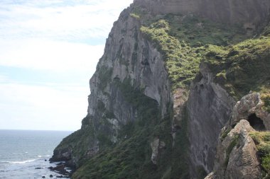 Güney Kore 'de okyanus kıyısında bir uçurum kenarında. Yüksek kalite fotoğraf
